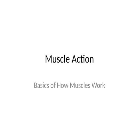 Types of Muscle Action | PDF
