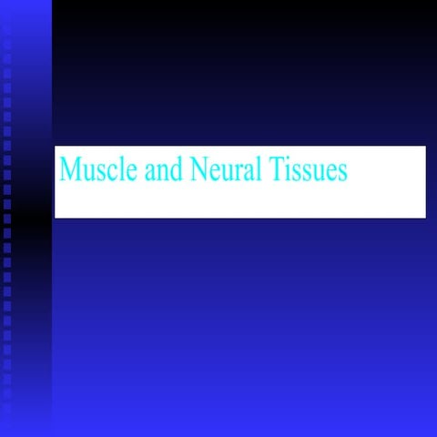 Muscle and neural tissues