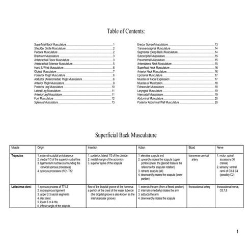 Muscle Attachment Table (Compartment Wise)