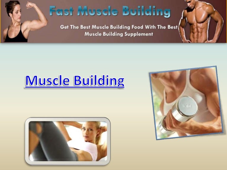 Science Behind Building Muscle – IZBHYU