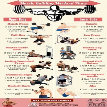 Muscle Building Workout Routine For Men | PDF