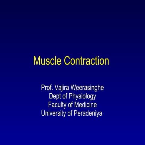 Muscle contraction