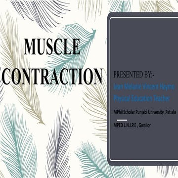 Muscle Contraction
