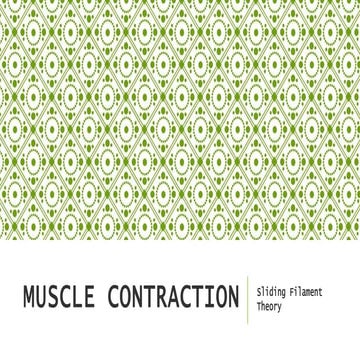 Muscle contraction.pptx