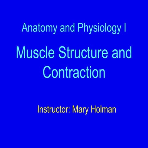 Muscle Contraction I.ppt