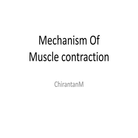 Muscle contraction mechanism chirantan mandal