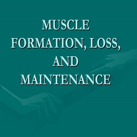 muscle formation by fleets_bybe