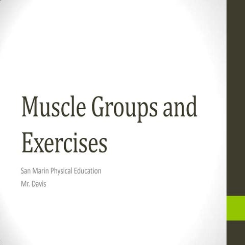 Muscle Groups and Exercises | PPTX | Fitness and Exercise | Healthy Living