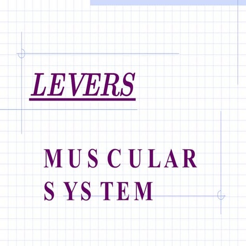 Muscle Levers.ppt