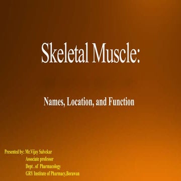 Muscle Names Location and Function Powerpoint.pptx