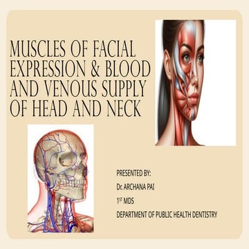 MUSCLES OF FACIAL EXPRESSION, BLOOD AND VENOUS SUPPLY OF HEAD AND NECKpptx