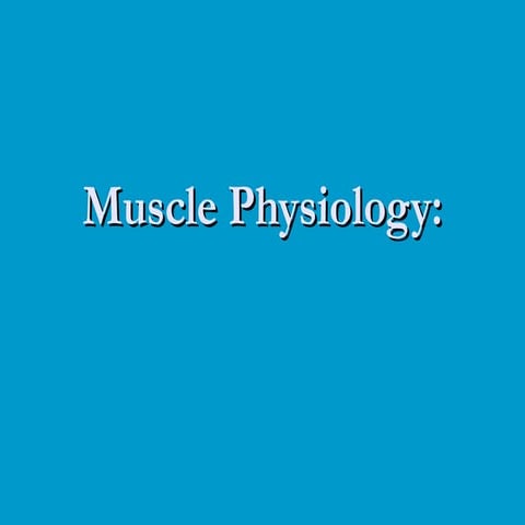 Muscle physio
