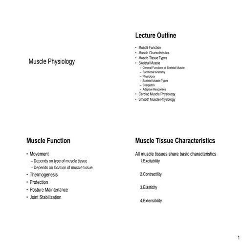 Muscle Physiology power point presentation -1.pdf