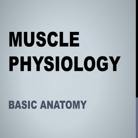 Muscle Physiology Ppt : Musculoskeletal system: Anatomy and functions ...