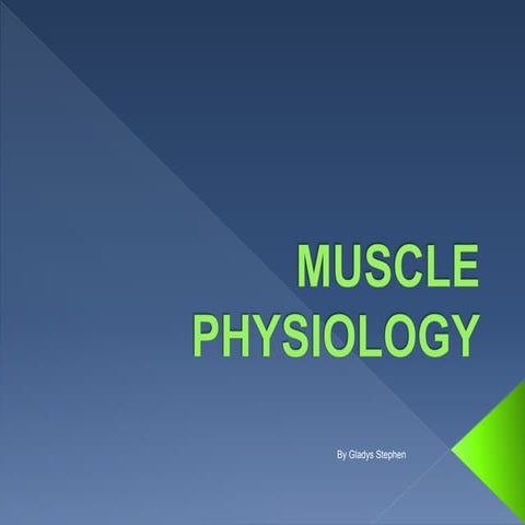 Muscle physiology