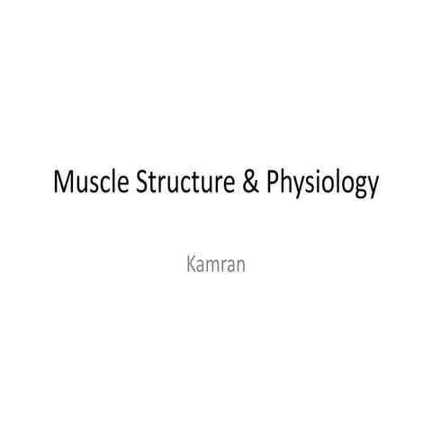 Muscle physiology