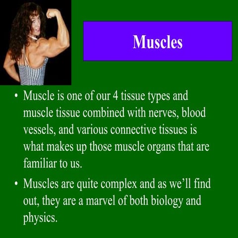 MUSCLES (THREE TYPES OF MUSCLES IN THE BODY) | PPT