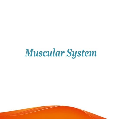 Muscular system in addition to types and nerve supply.ppt