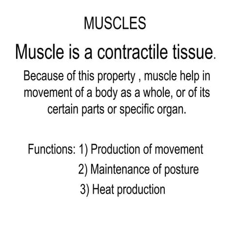 MUSCLES Slideshare 1 to 32 Slides..11021