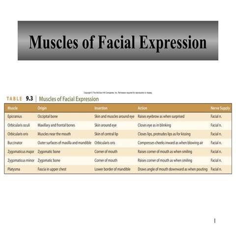 Muscles.power point presentation for anatomy | PPT