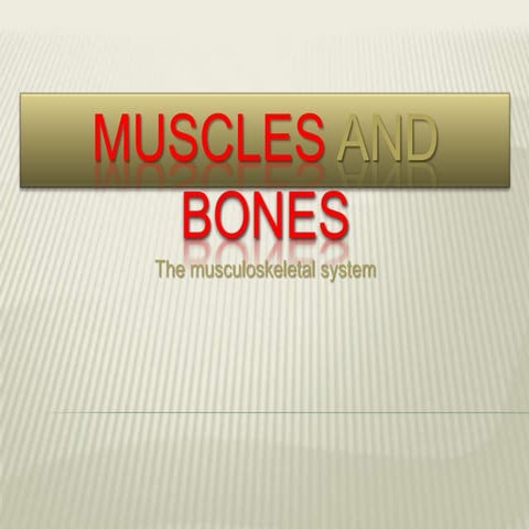 Muscles and bones