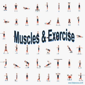 Muscles and excercise.pptx