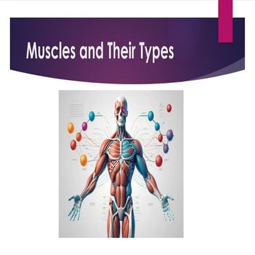muscles and types and its chatlracteristics | PPTX