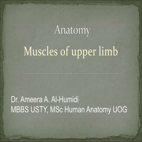 Muscles Arm.ppt