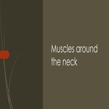 Muscles around the neck anatomy and bones.pptx
