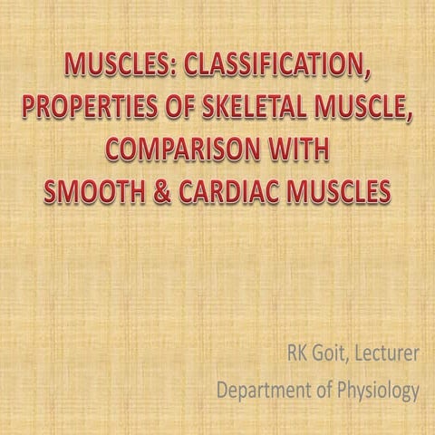 Muscles classification