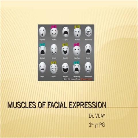 Muscles of facial expression By dr. vijay Makasana