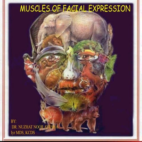 Muscles of facial expressions