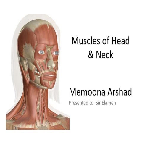Muscles of head and neck