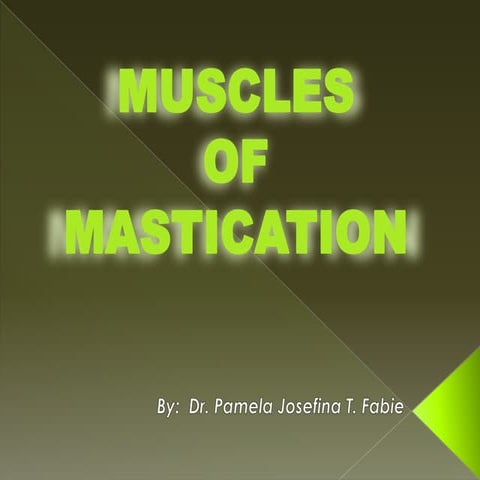 Muscles of mastication