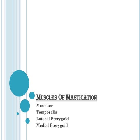 Muscles of mastication