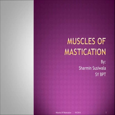 Muscles of Mastication