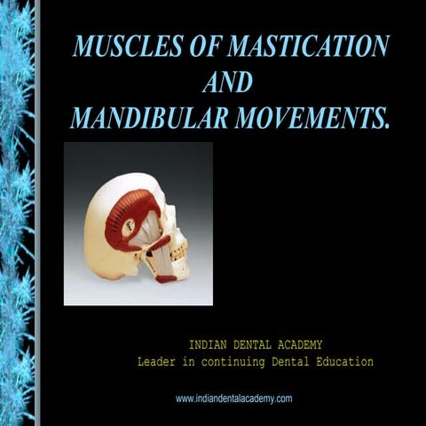 Muscles of mastication and mandibular movements/dental courses