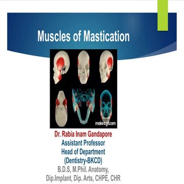 Muscles of Mastication by Dr. Rabia Inam Gandapore.pptx