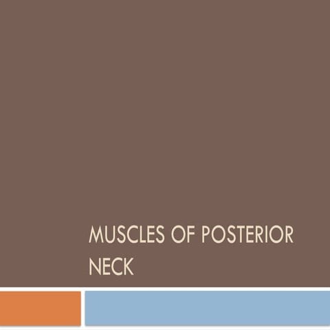 Muscles of posterior Neck region (1) (1).pptx