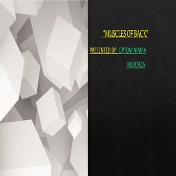 Major muscles of the back- Made Easy.pptx