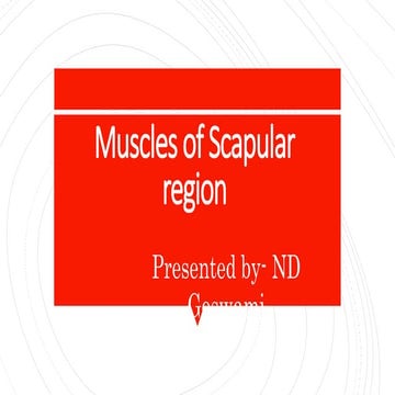 Deltoid muscle, origin insertion and movement | PPT