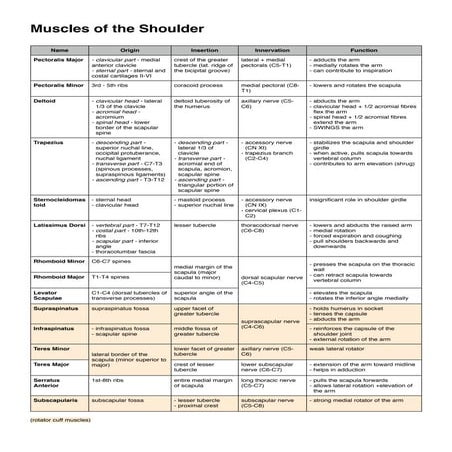Muscles of the upper limb