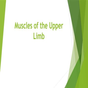 Muscles of the Upper Limb/pectoralis major