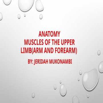 Muscles of the upper limb | PDF