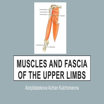 Muscles of the upper limbbbbbbbbbbs.pptx