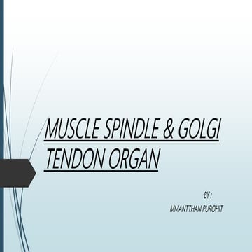 Muscle spindle & Golgi tendon organ 