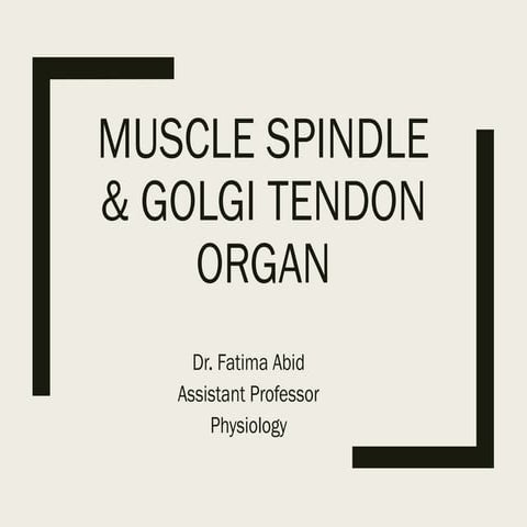 muscle spindle and golgi tendon.pxcvbnbvcxcvbnm,nbvcptx