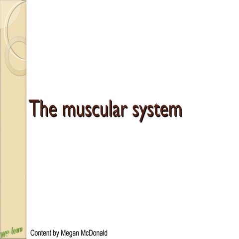 Muscle System