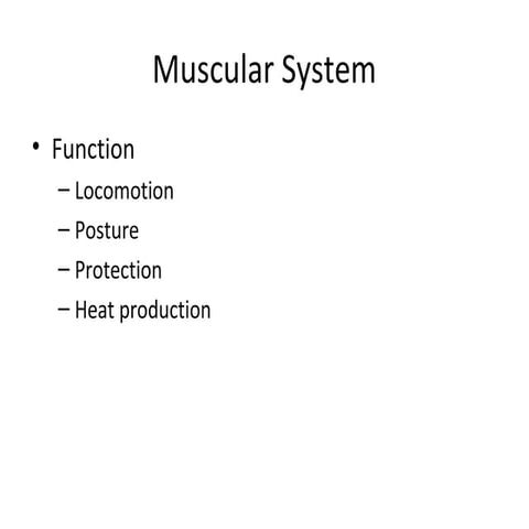Muscle tissue 1 2 (comparative vertebrate anatomy)