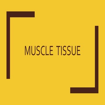 Muscle  tissue